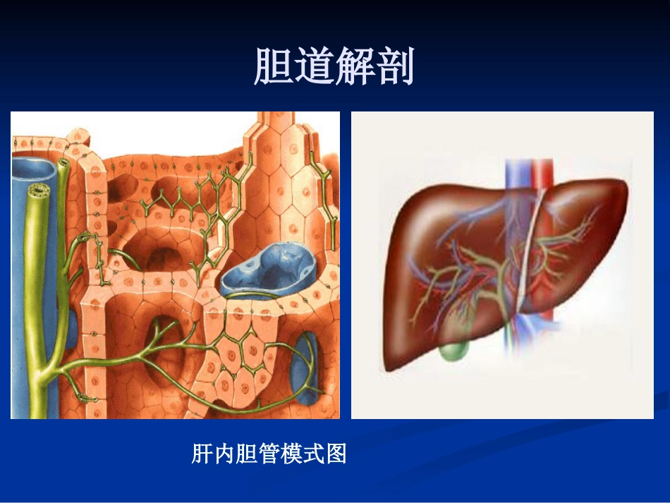 外科--胆道疾病_第2页