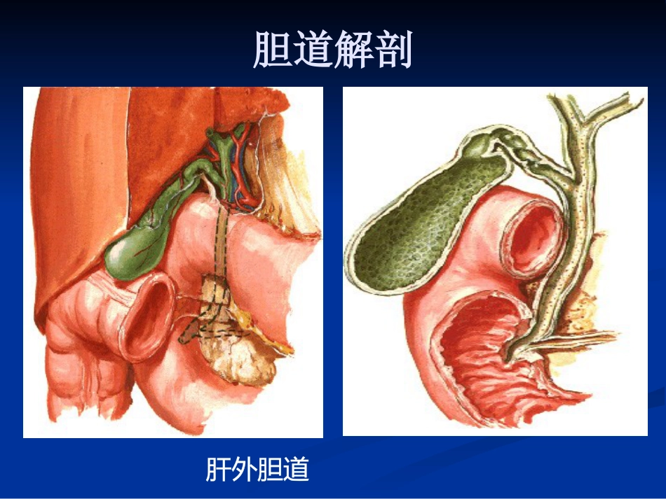 外科--胆道疾病_第3页