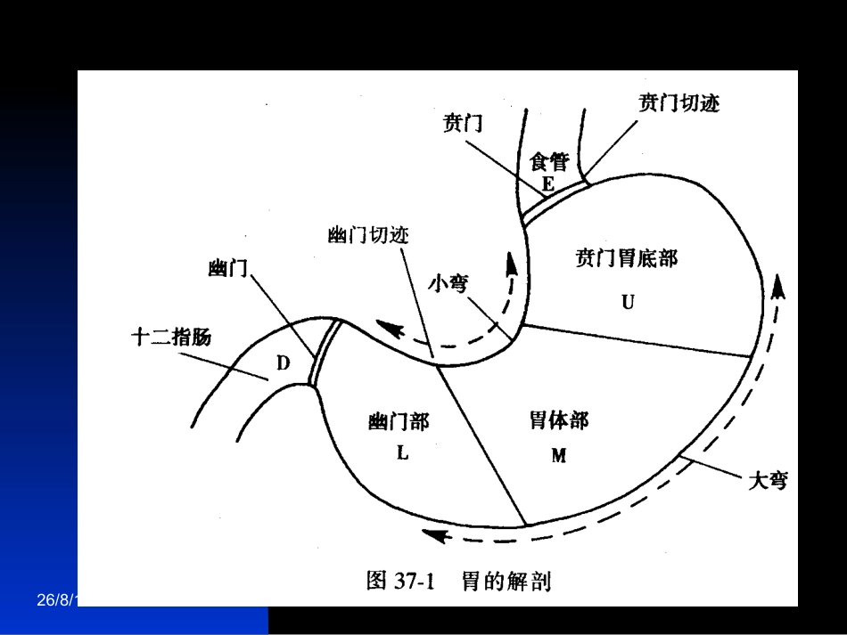 胃十二 指肠疾病_第4页