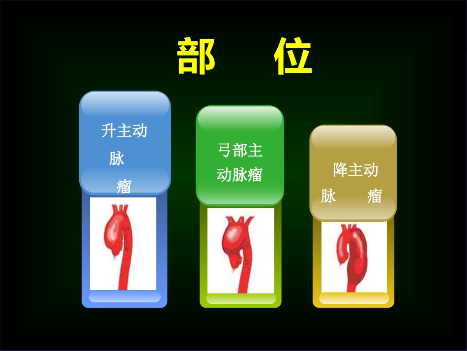 主动脉外科_第12页