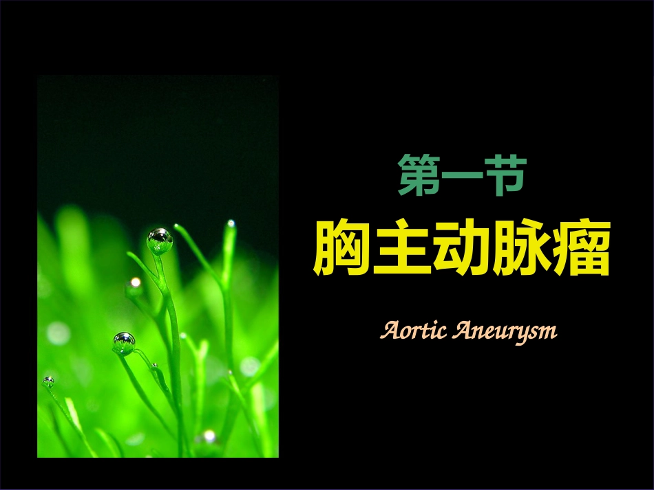 主动脉外科_第5页