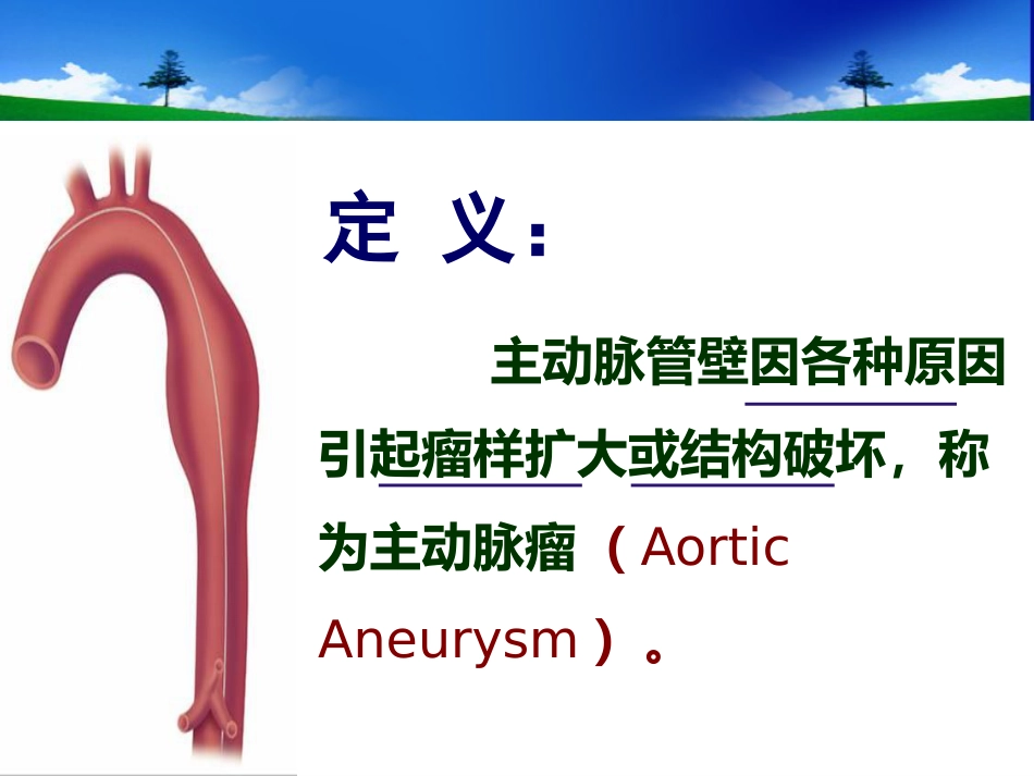 主动脉外科_第8页