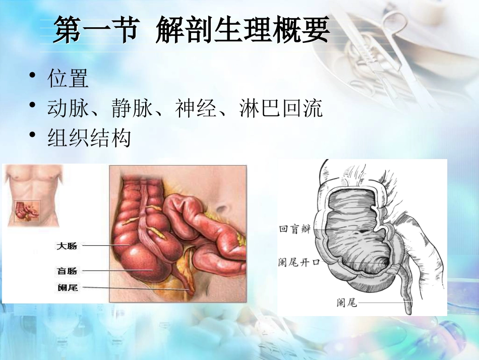 胃肠外科-阑尾炎、结直肠肛管疾病_第3页
