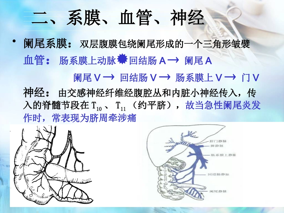 胃肠外科-阑尾炎、结直肠肛管疾病_第5页