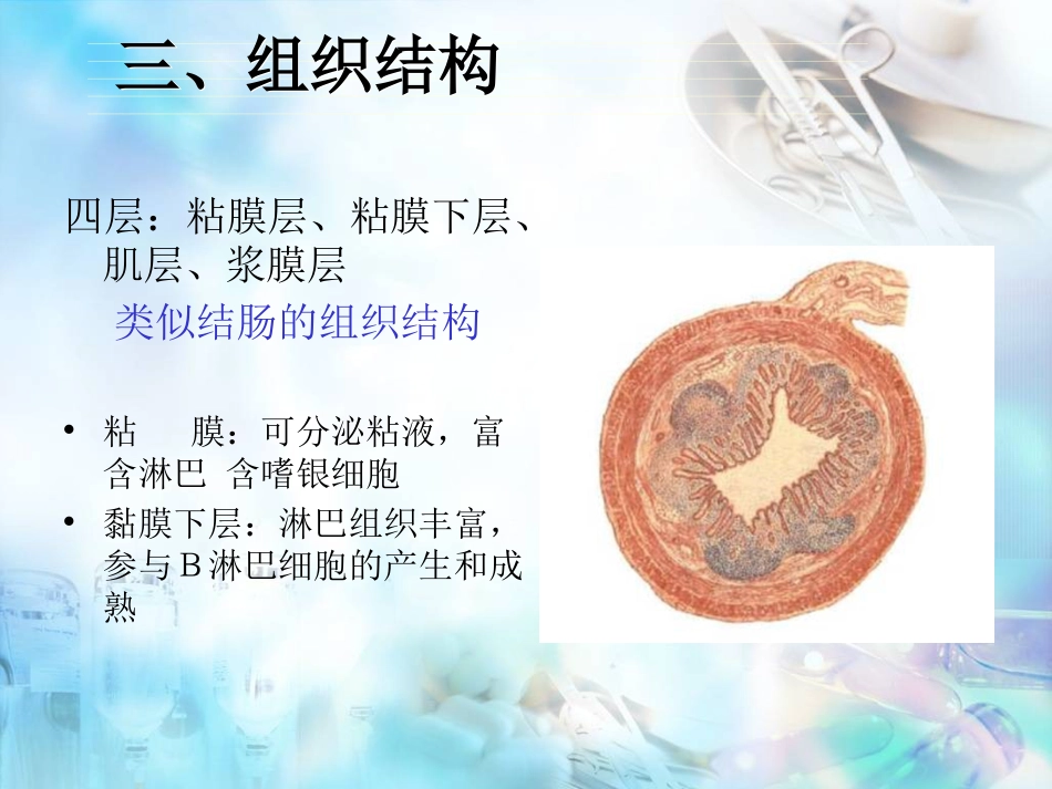 胃肠外科-阑尾炎、结直肠肛管疾病_第6页