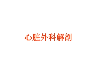 心脏外科-解剖讲义