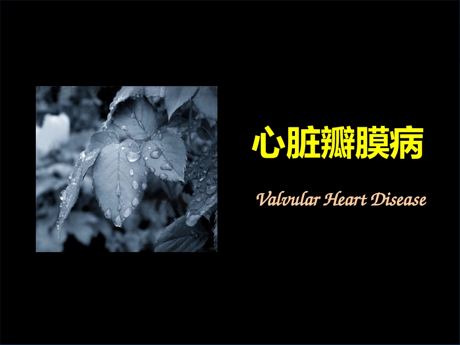 心脏外科_第13页
