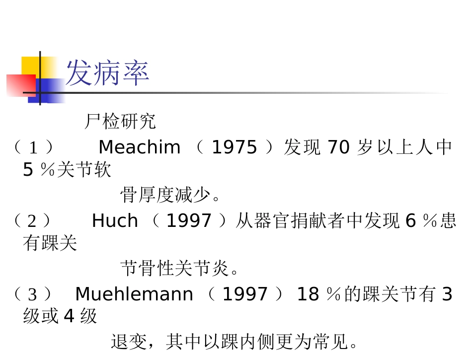踝关节骨性关 节炎_第2页