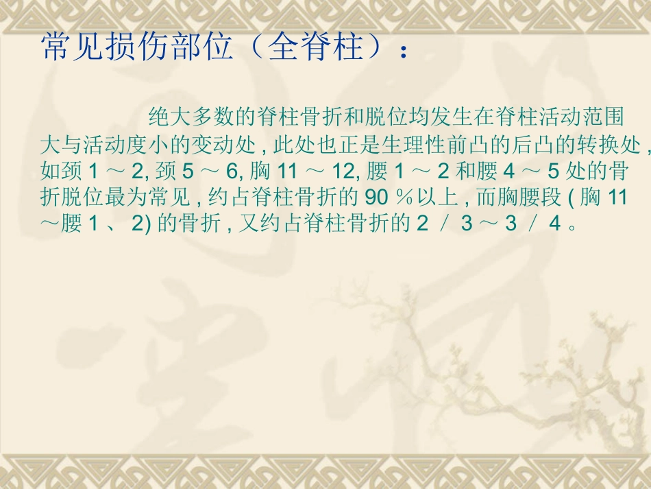 颈椎骨 折_第4页