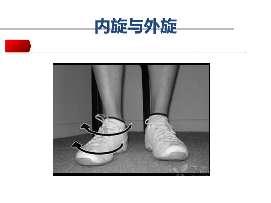 踝关节骨折Lauge-hansen分 型的理解与评价_第13页