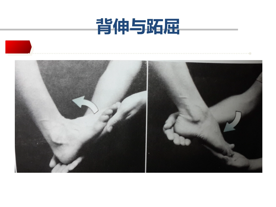踝关节骨折Lauge-hansen分 型的理解与评价_第9页
