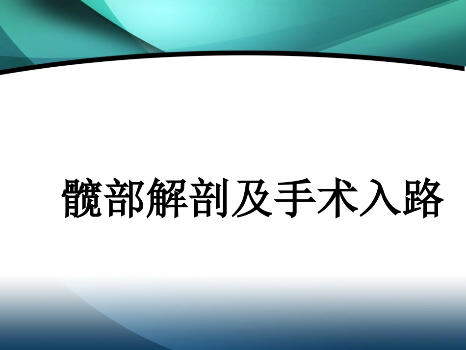 髋部解剖及 手术入路_第1页