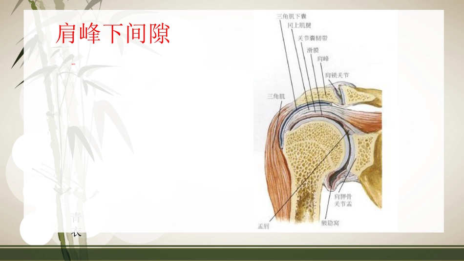 肩袖损伤术 后的康复_第10页