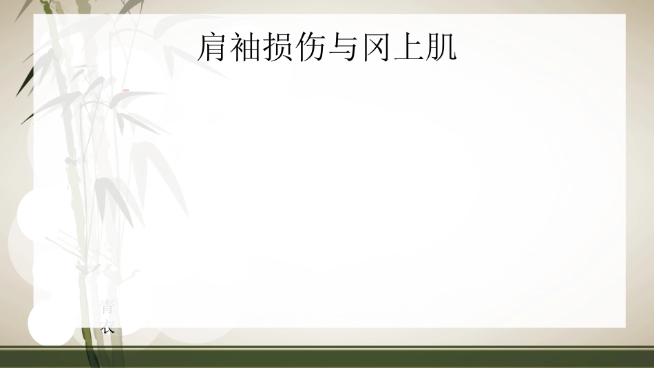 肩袖损伤术 后的康复_第14页