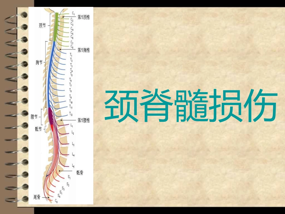 颈脊髓损伤课件_第1页
