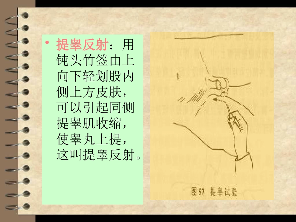 颈脊髓损伤课件_第14页