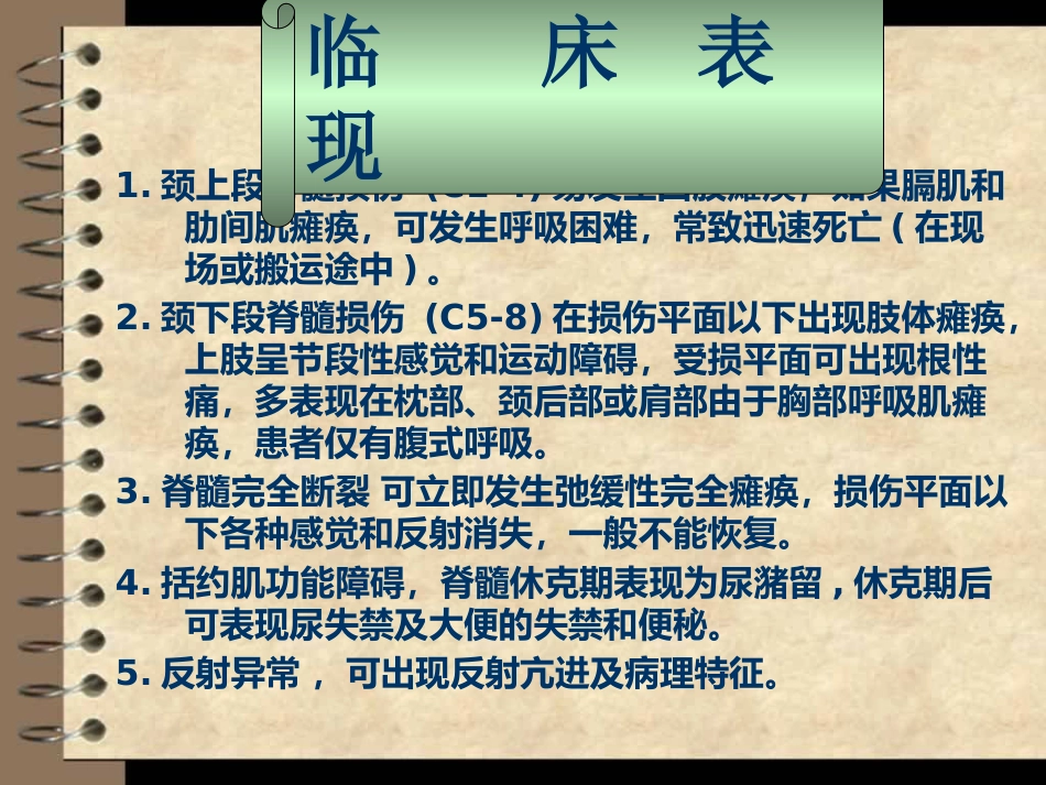 颈脊髓损伤课件_第7页