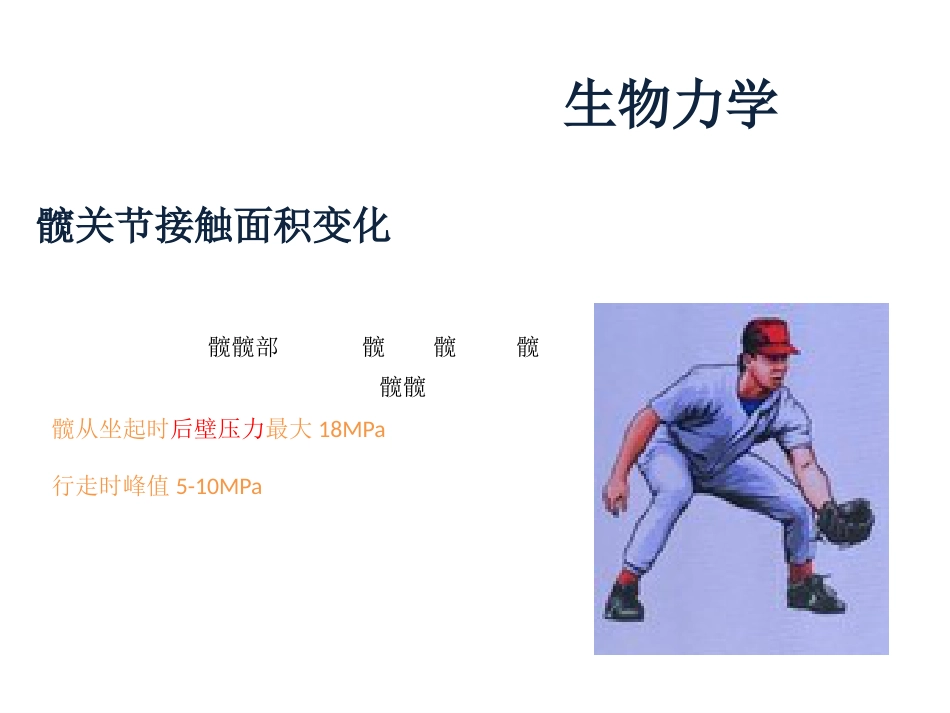 髋臼骨折基 础知识_第3页