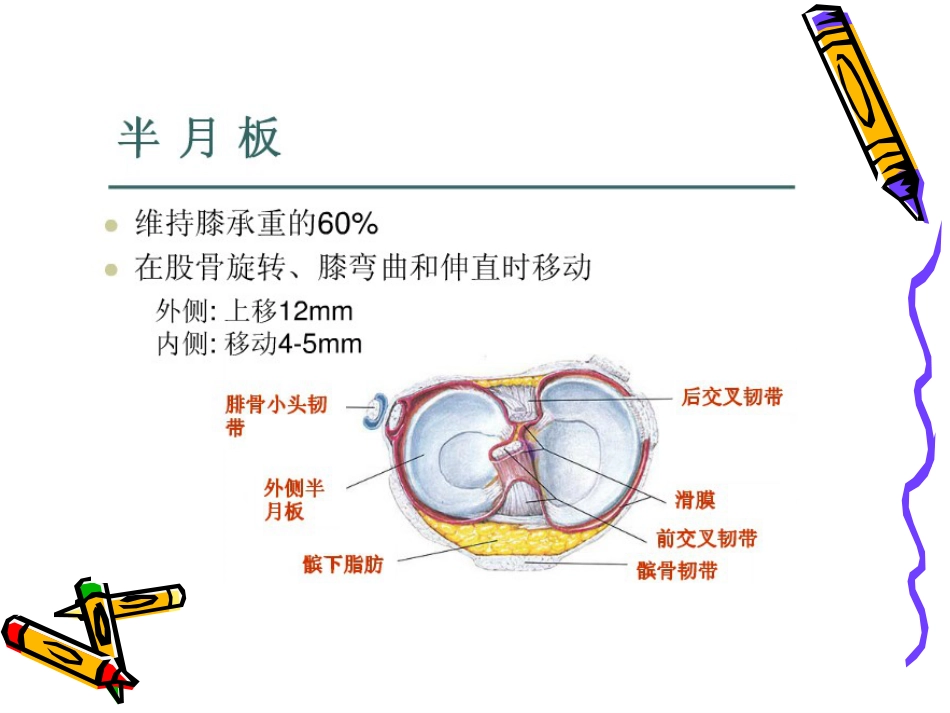 关节镜下游离体 摘除术_第5页