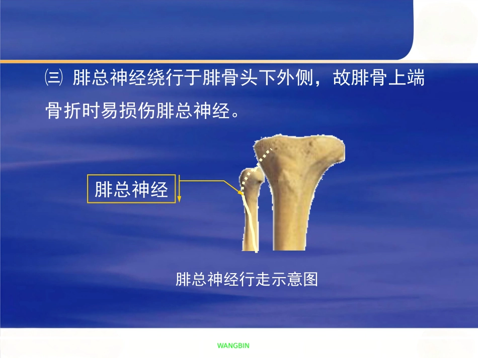 胫腓骨 骨折急诊处理_第7页