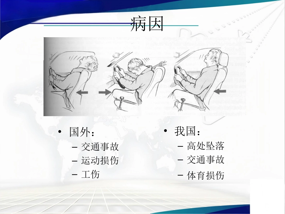脊髓损伤的 康复_第3页