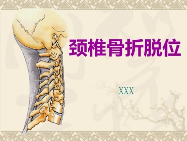 颈椎骨折脱位诊断 与治疗