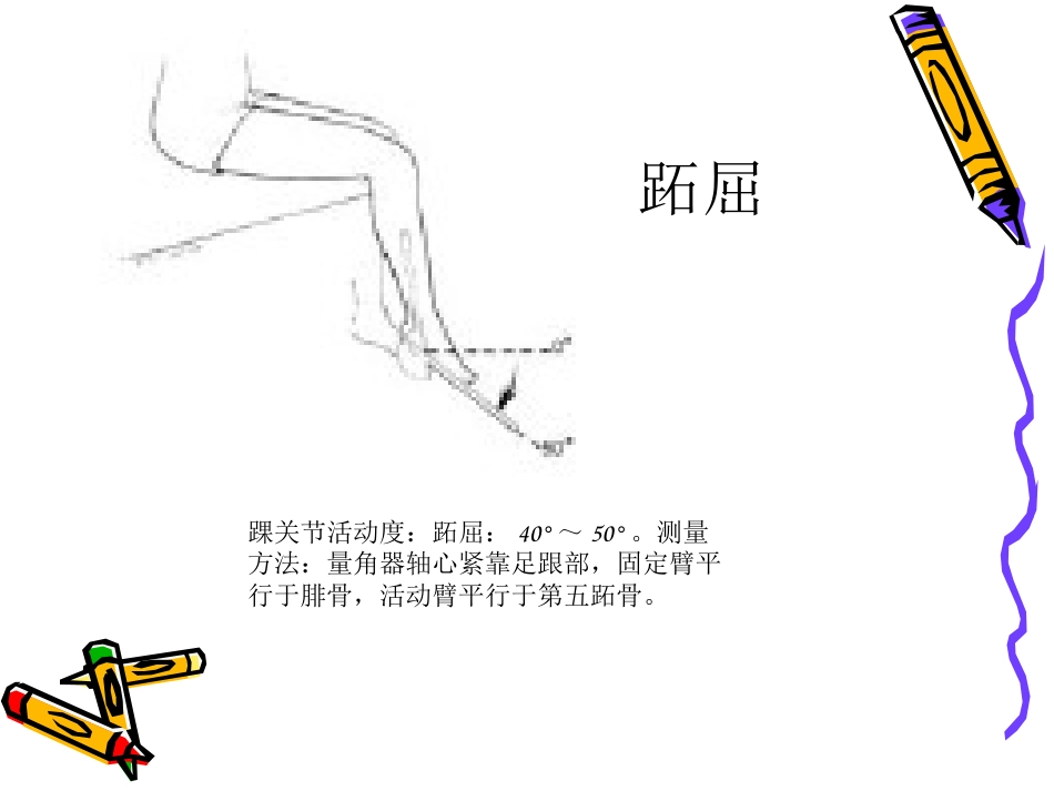 踝 泵运动_第10页
