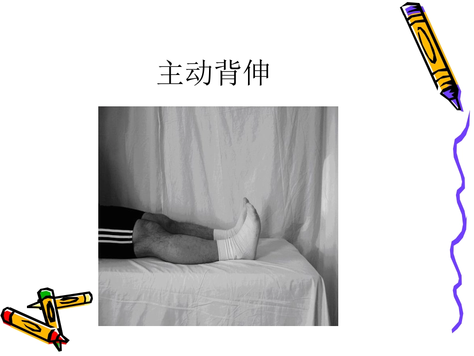 踝 泵运动_第13页