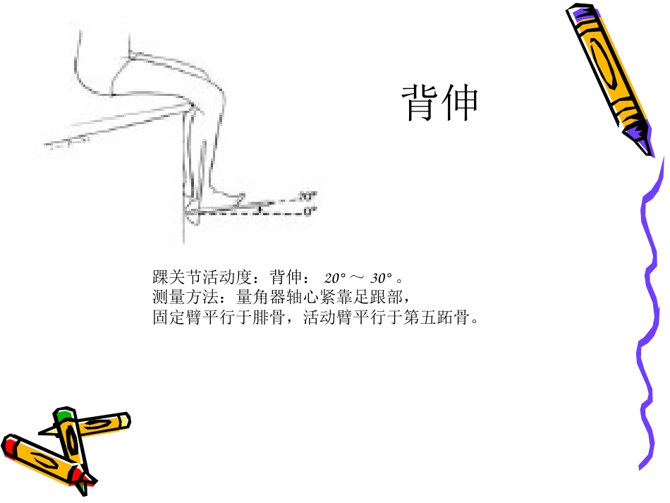 踝 泵运动_第14页