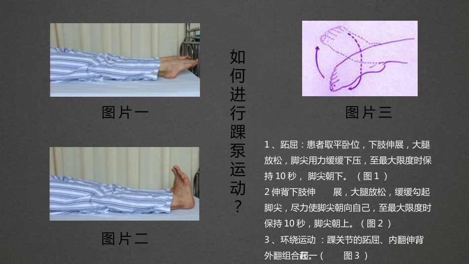 踝泵运动 精品_第12页