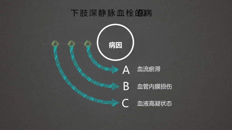 踝泵运动 精品_第5页