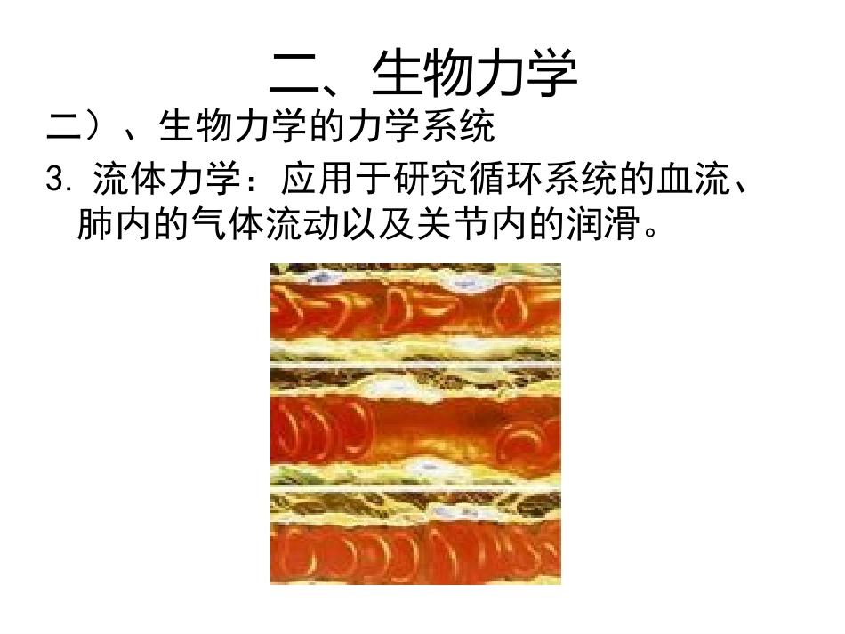 矫形器生物 力学概述_第14页