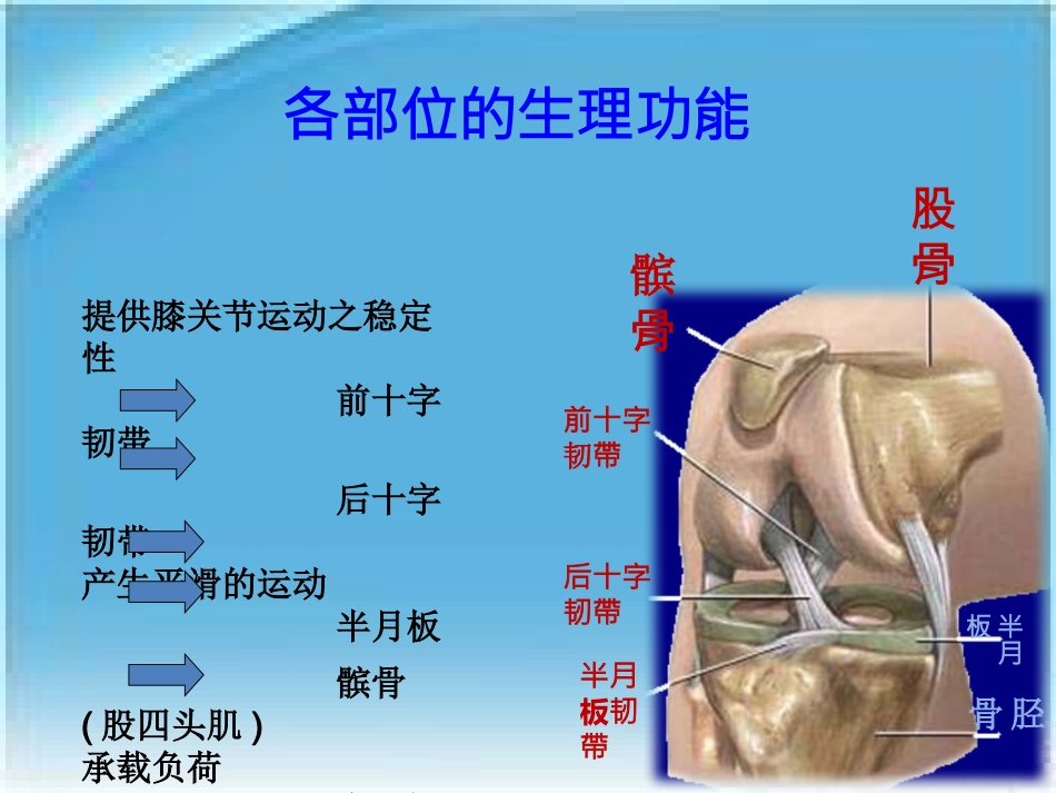 人工膝关节表面 置换术的配合_第9页