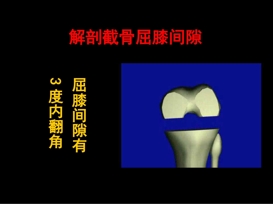 截骨力 线_第11页