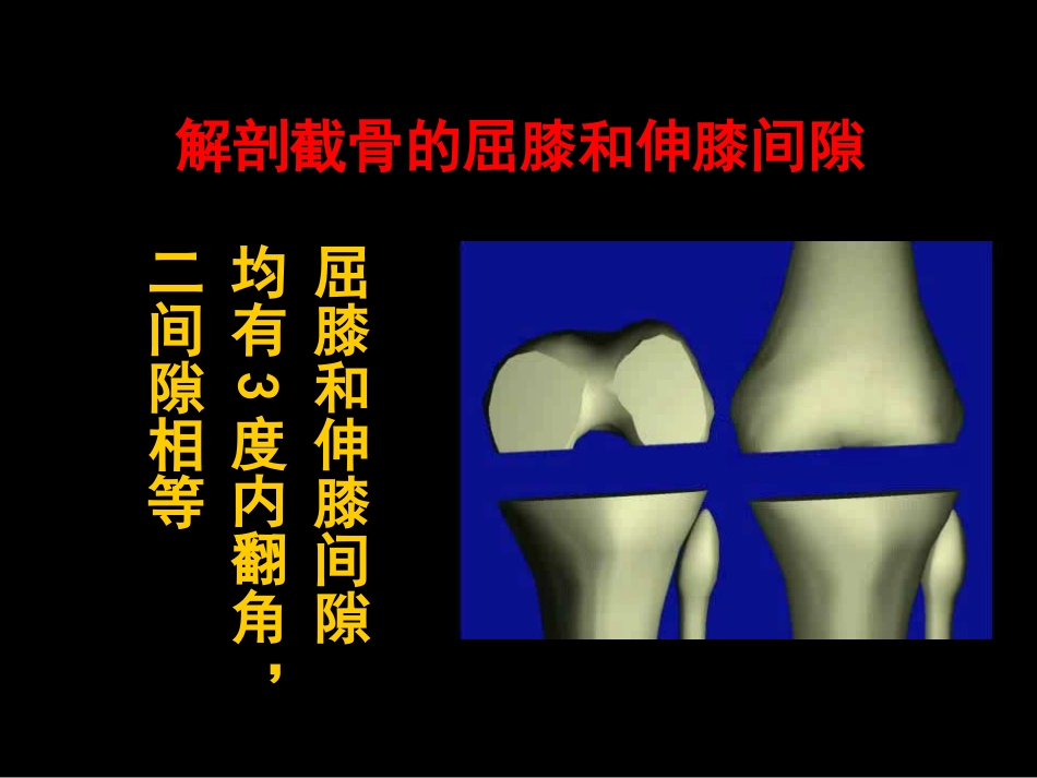 截骨力 线_第12页