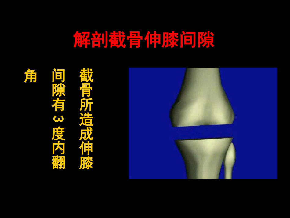截骨力 线_第9页