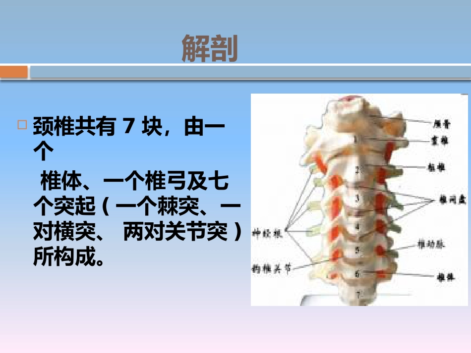 颈椎骨折的 护理_第5页