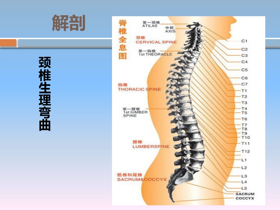 颈椎骨折的 护理_第7页