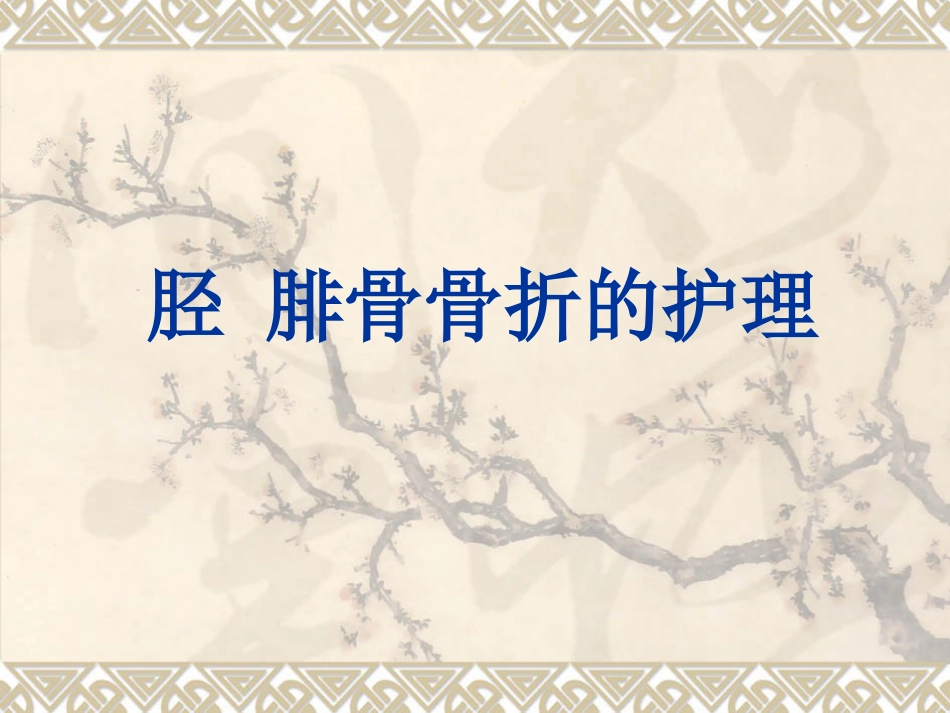 胫腓 骨骨折护理_第1页
