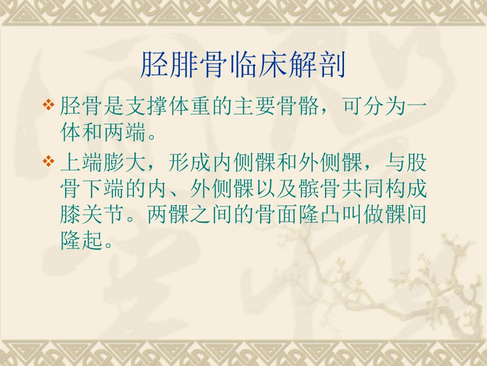 胫腓 骨骨折护理_第6页