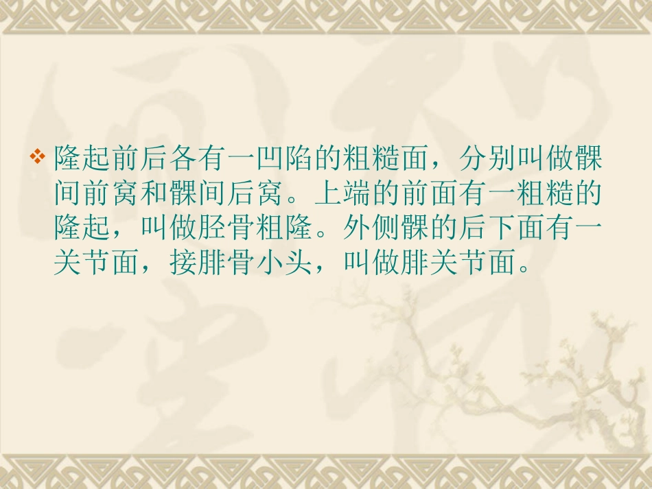 胫腓 骨骨折护理_第7页