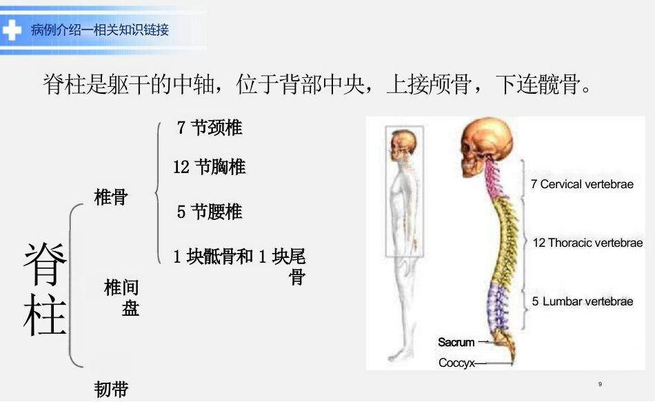 脊髓损伤教学查房ppt_第9页