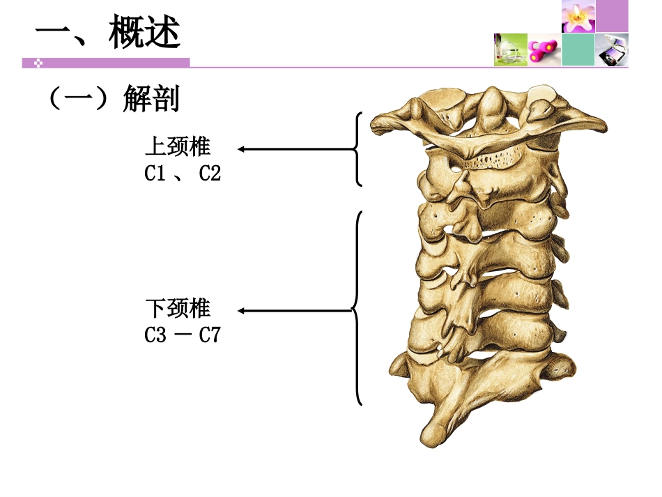 颈脊髓损伤 患者的护理_第3页