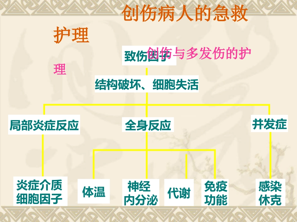 创伤病人的 急救护理_第10页