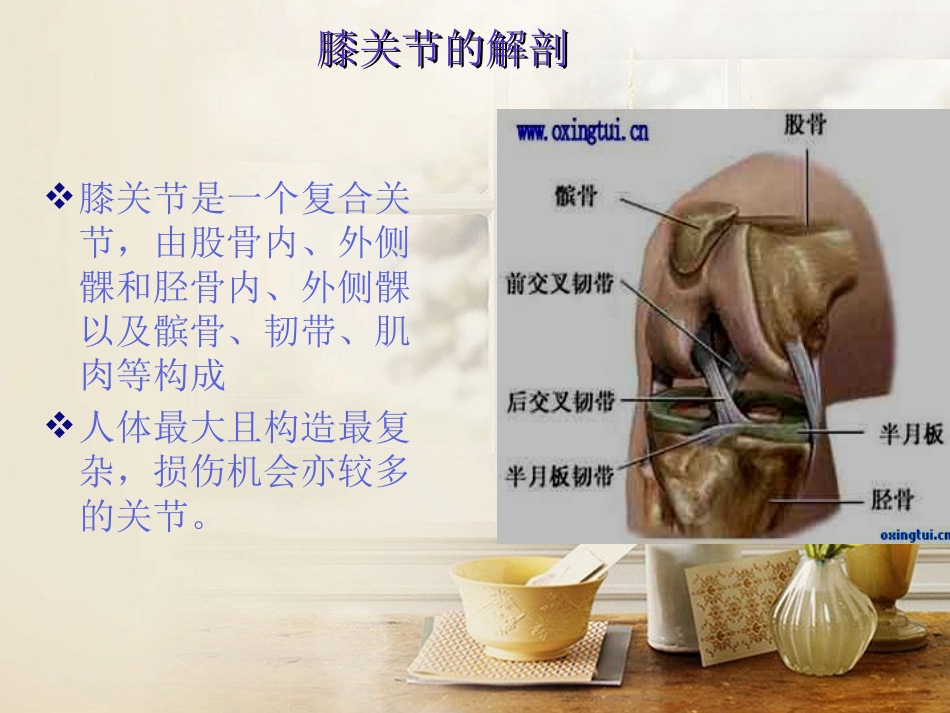 全膝关节置换术 护理及康复_第3页