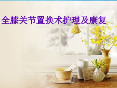 全膝关节置换术 护理及康复