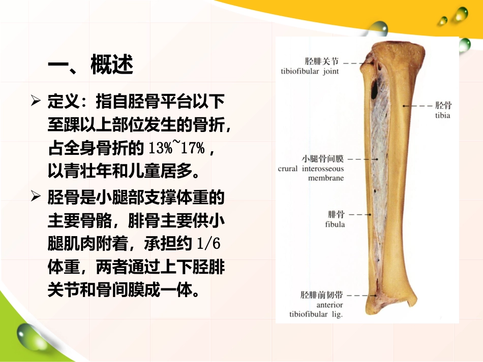 胫腓骨 骨折患者的护理_第3页