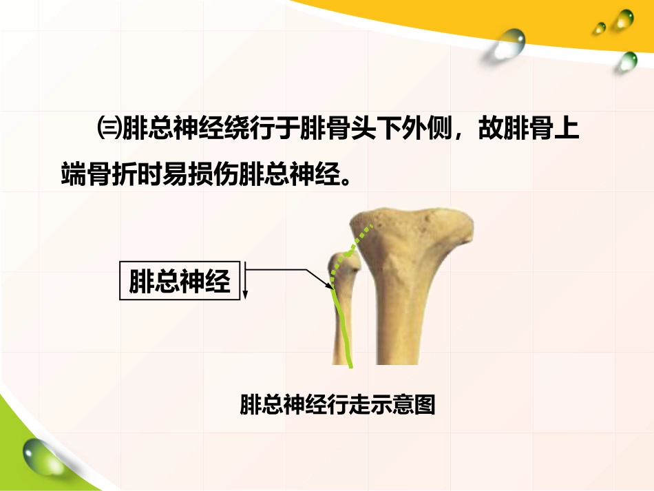 胫腓骨 骨折患者的护理_第7页