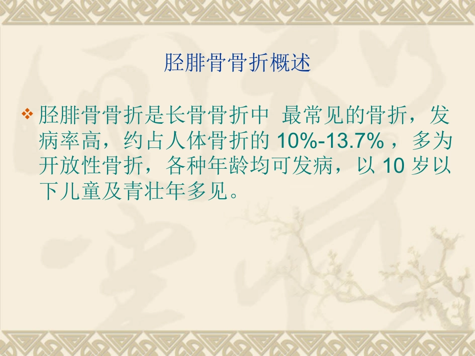 胫腓 骨骨折的护理_第2页