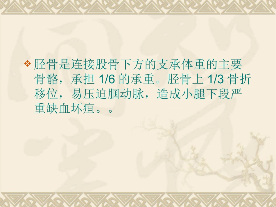 胫腓 骨骨折的护理_第3页